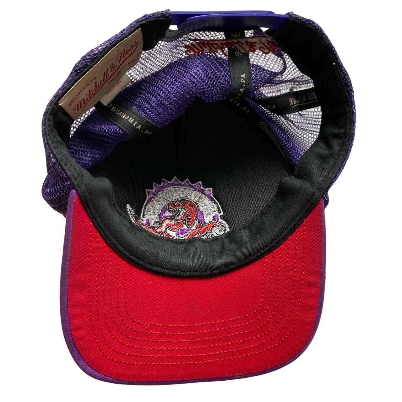 Toronto Raptors Purple Snapback Cap