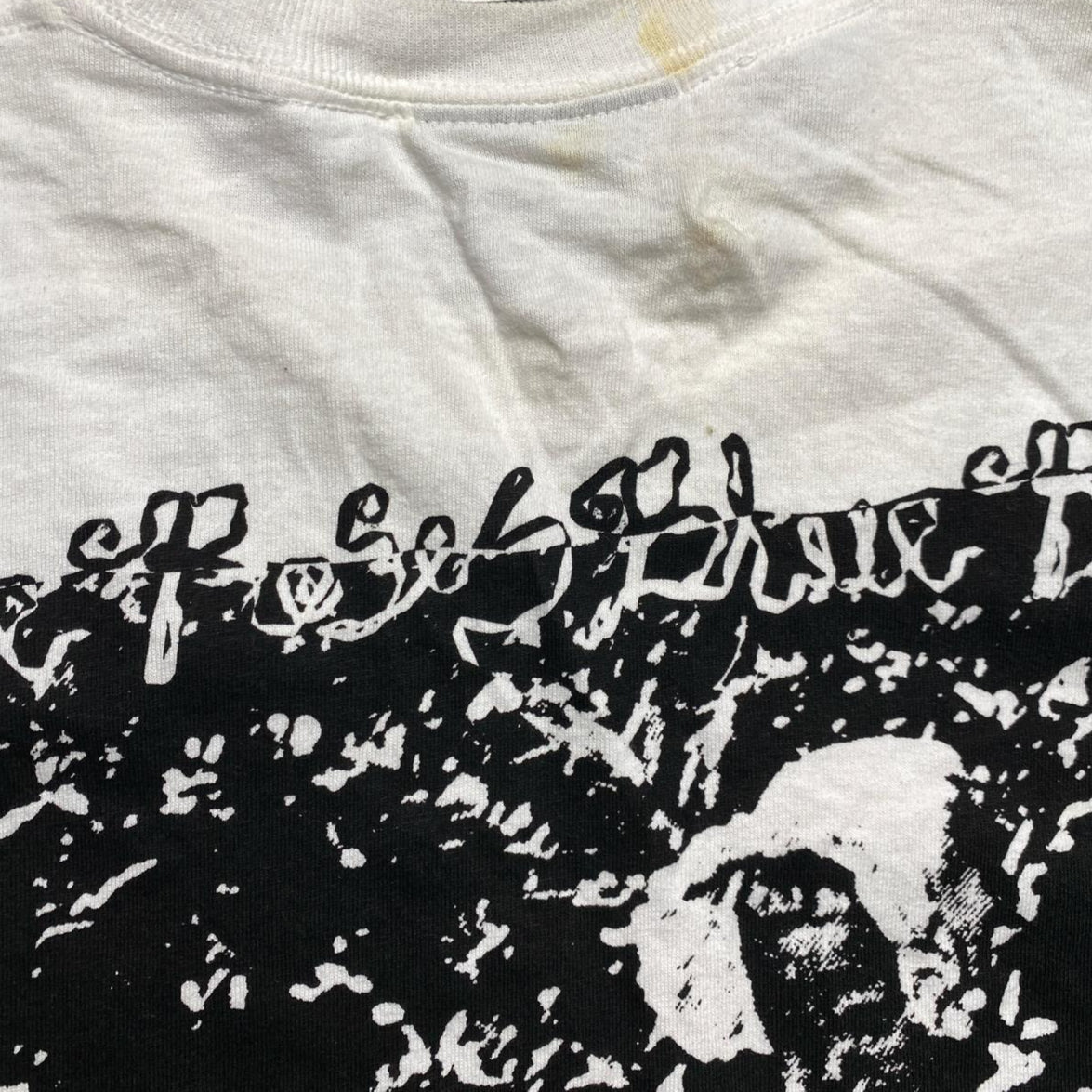 Dripping Peaches Vintage 90’s Long Sleeve T Shirt (XL)