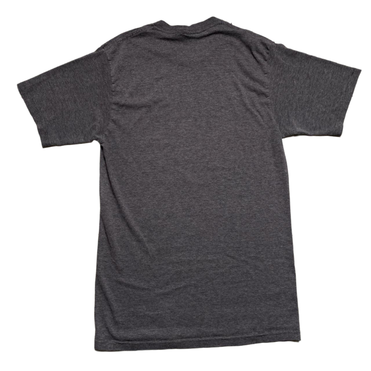 Stussy Grey Vintage Grey T Shirt I Never Ruled Them only Skooled Them (M)