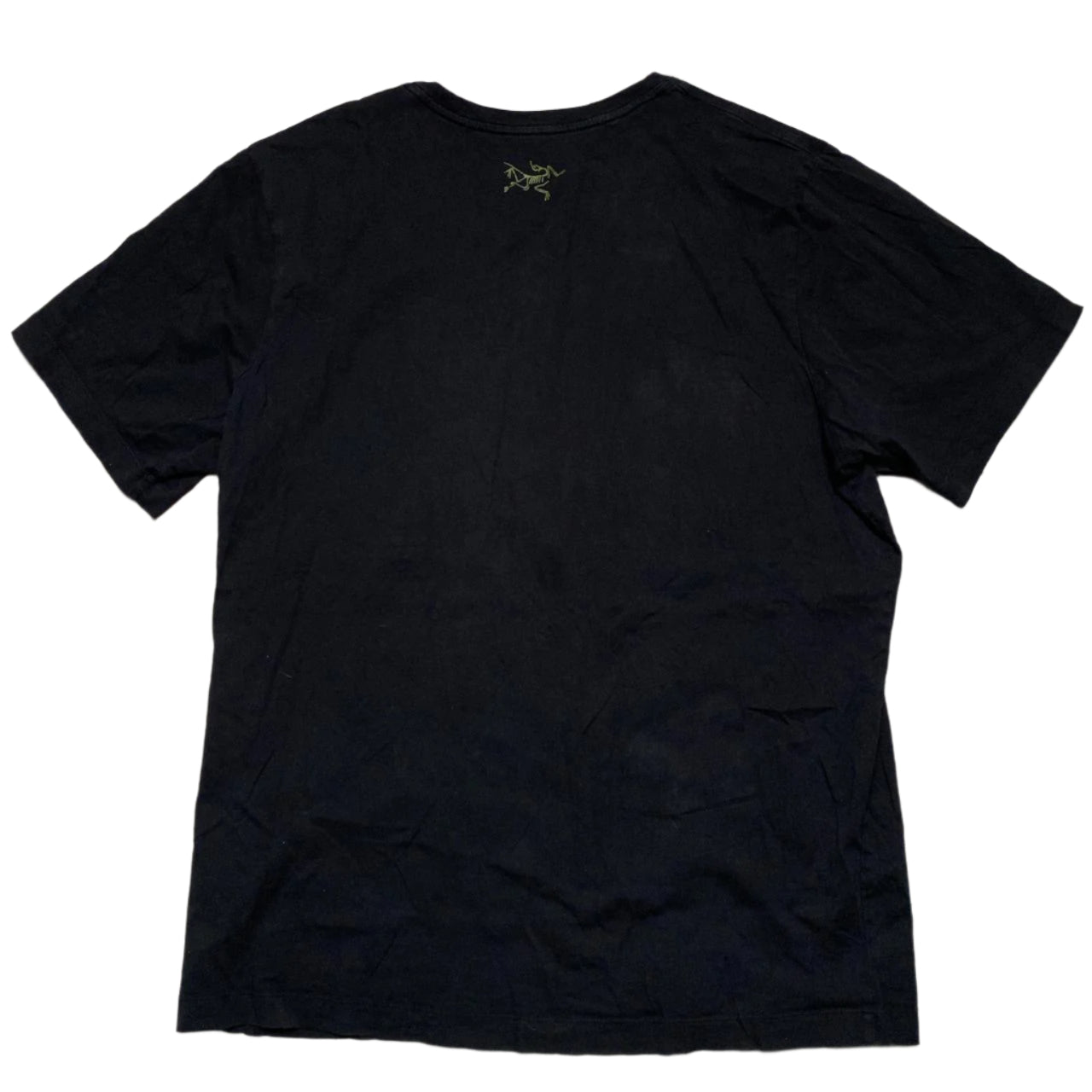 Arc’teryx Lizard Eat Lizard V2 Cannibal Black and Green T Shirt (L)