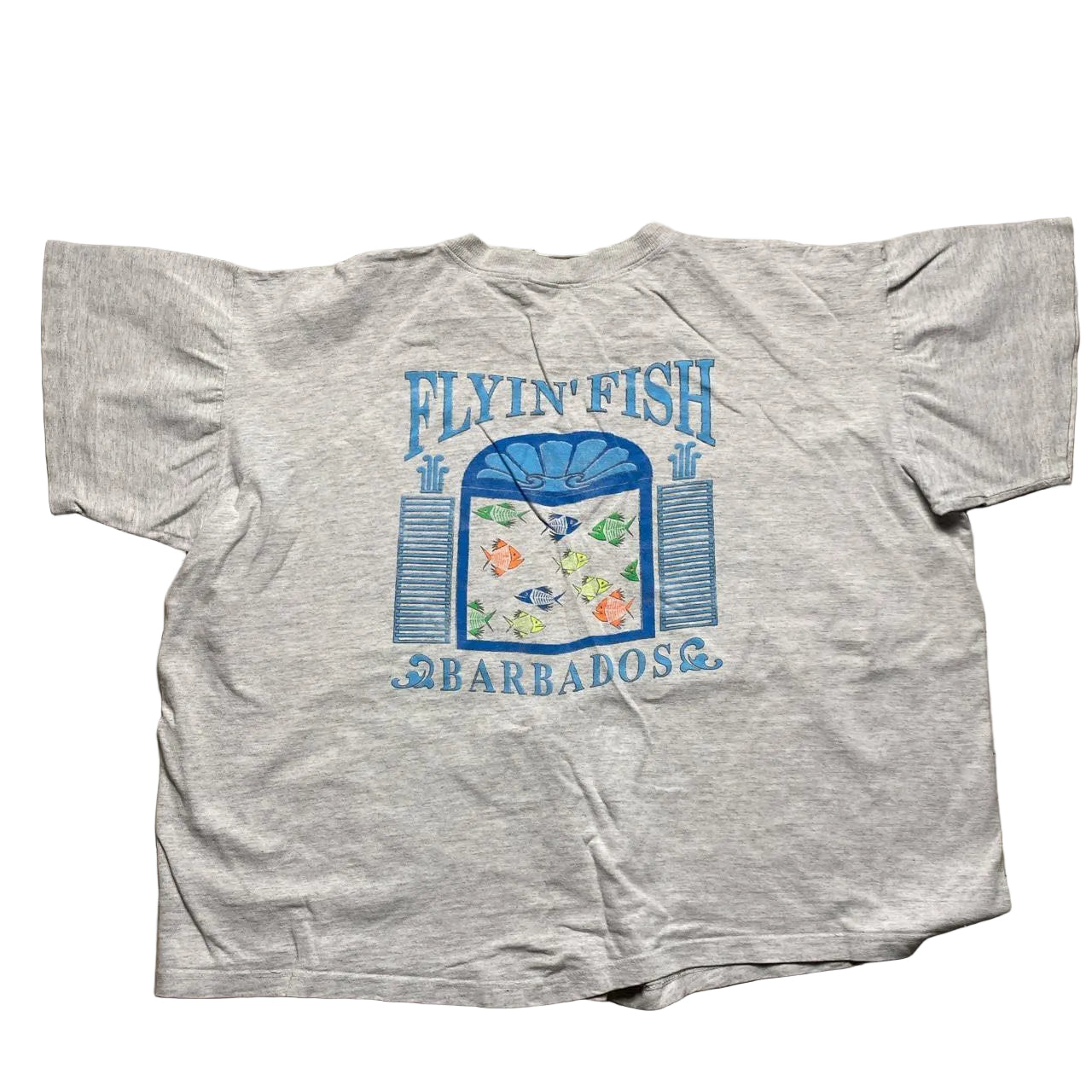 Flyin Fish Cropped Womens Grey Oversized T Shirt (L)