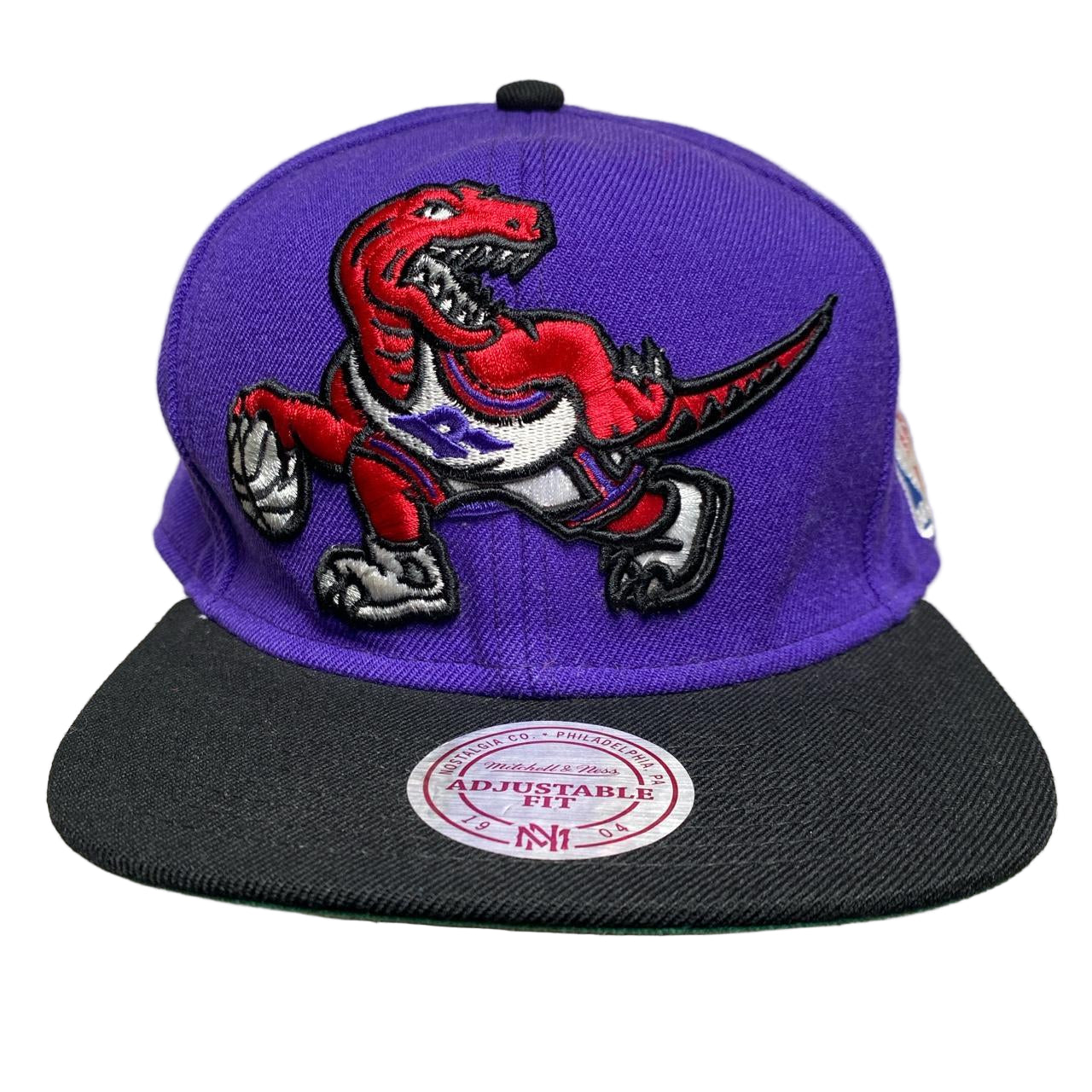 Toronto Raptors NBA Purple Snapback Cap