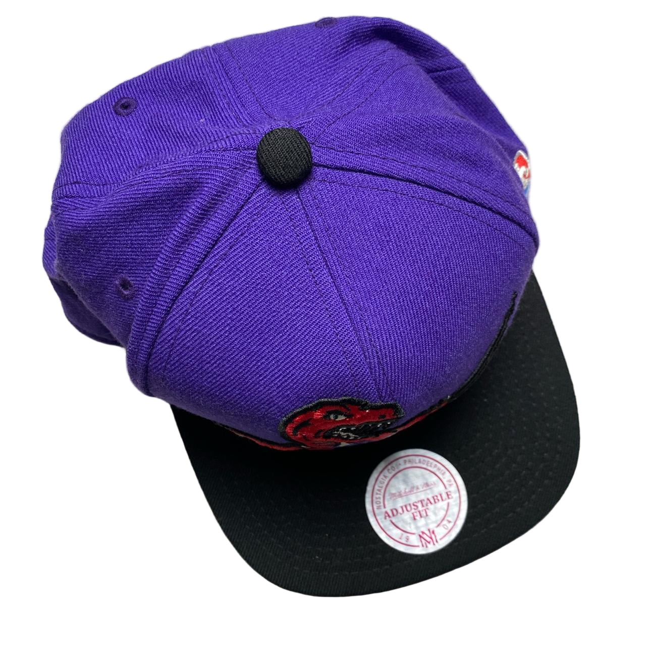 Toronto Raptors NBA Purple Snapback Cap