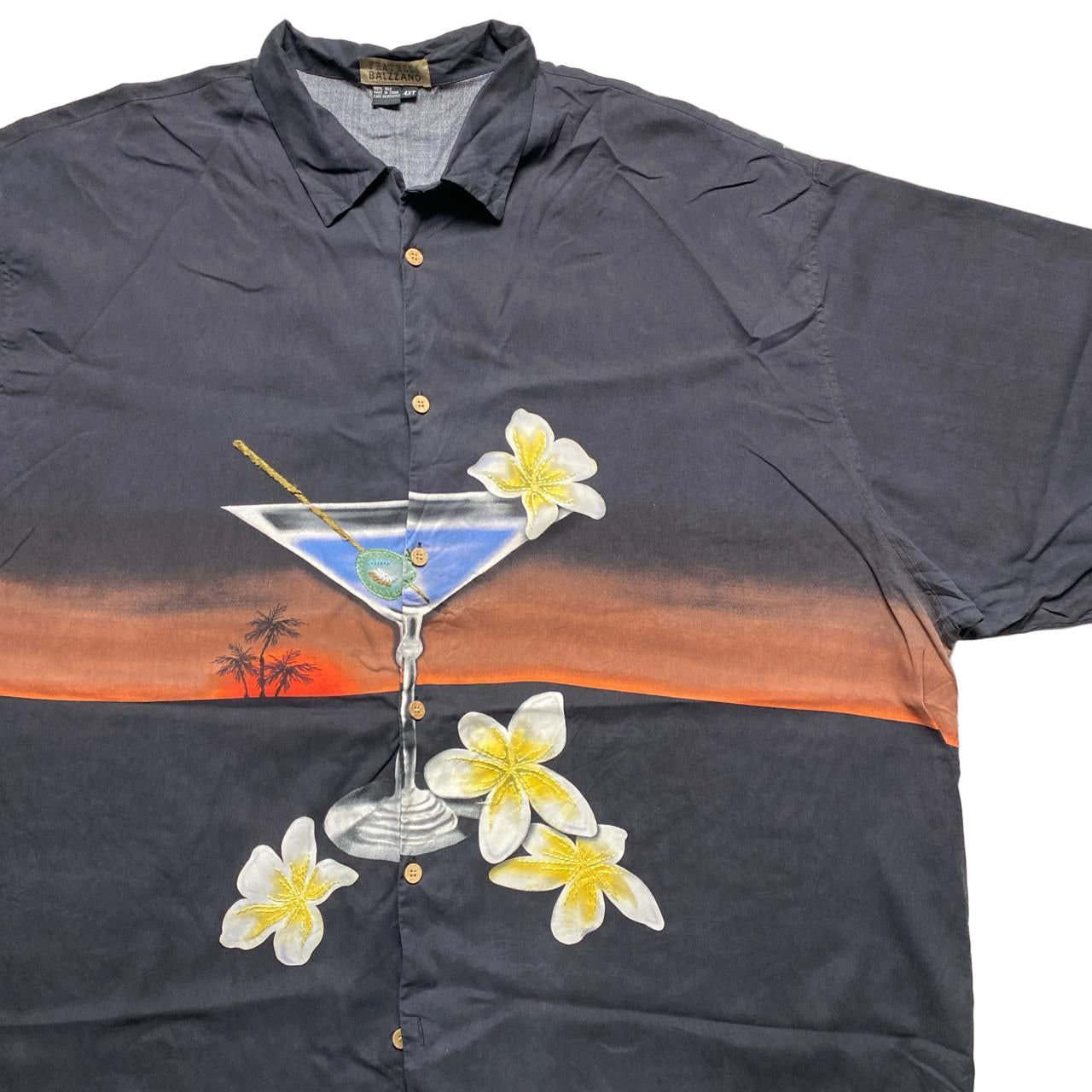 Fratelli Balzzano Martini Vintage 90’s Big Short Sleeve Shirt (2XL)