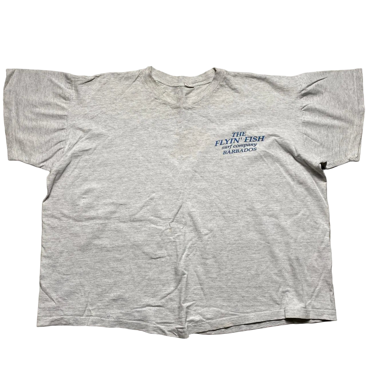 Flyin Fish Cropped Womens Grey Oversized T Shirt (L)