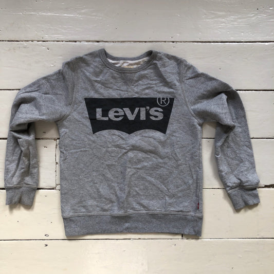 Levis Spellout Grey Jumper (Size 14)