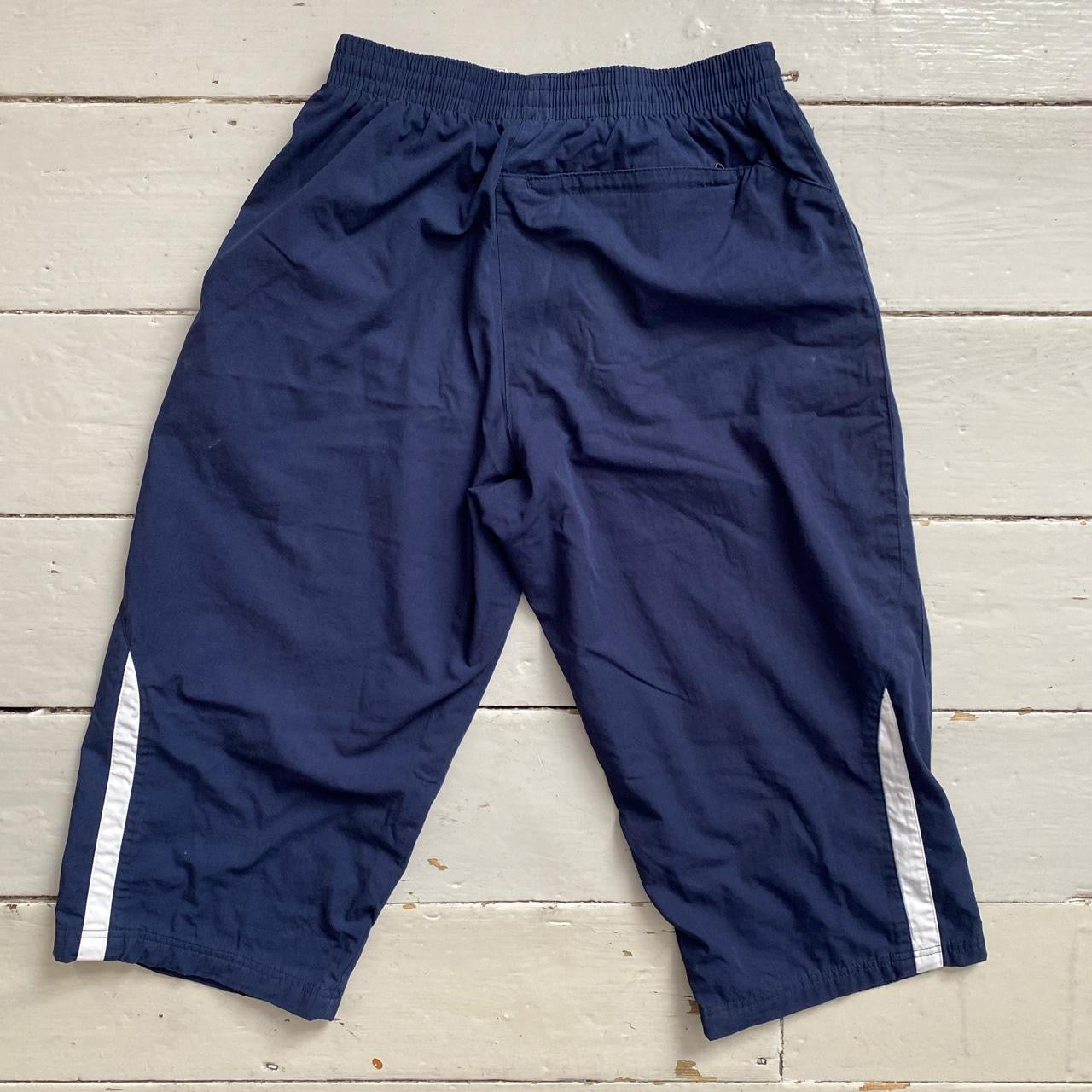 Nike Swoosh Vintage Shorts (Medium)