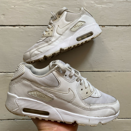 Nike Air Max 90 White (UK 6)