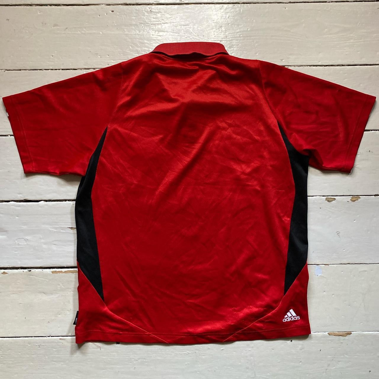 Liverpool Adidas Champions League Polo (Large)