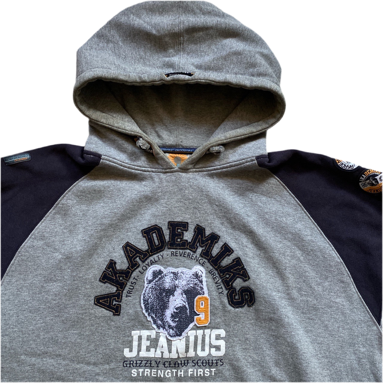 Akademiks Vintage Grey Hoodie (L)