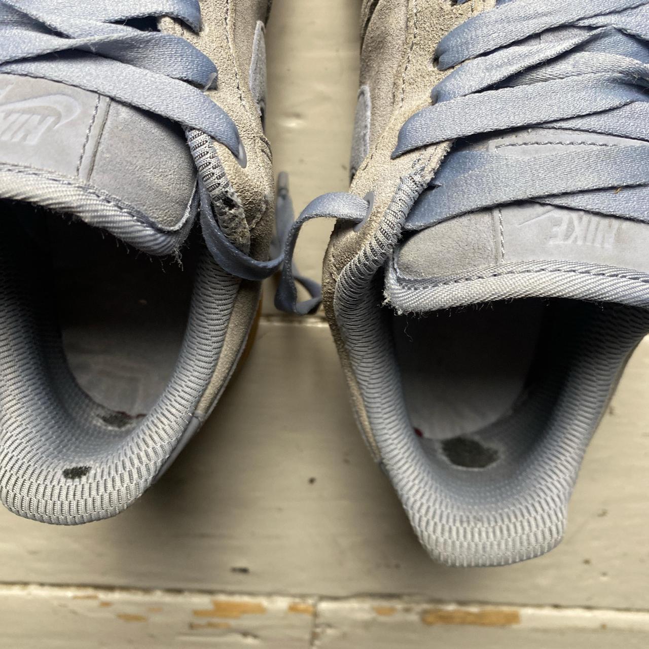 Nike Air Force 1 Blue and Gum Sole