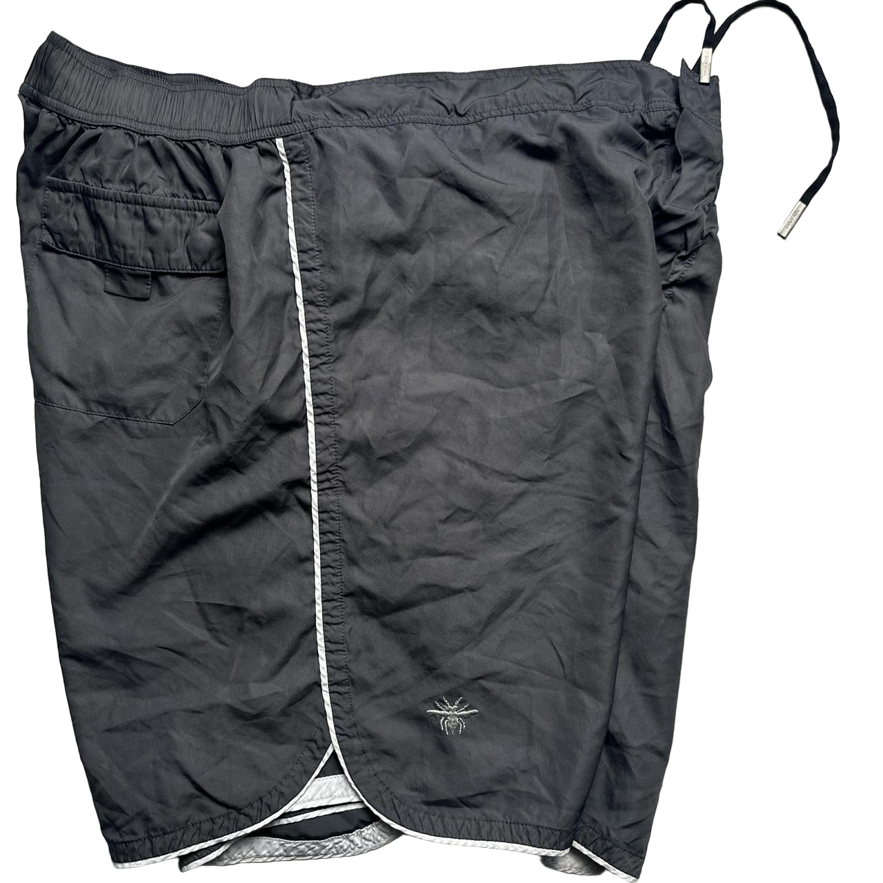Dior Bee Swim Shorts Grey and Silver (M)