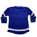 Toronto Maple Leafs Blue and White Hockey NHL Jersey (L)