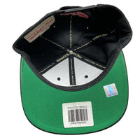 Toronto Raptors Black Snapback Mitchell and Ness Cap