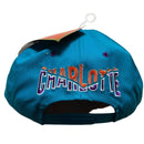 Charlotte Hornets Vintage 90’s Green Brim NBA Snapback Cap Blue and Purple