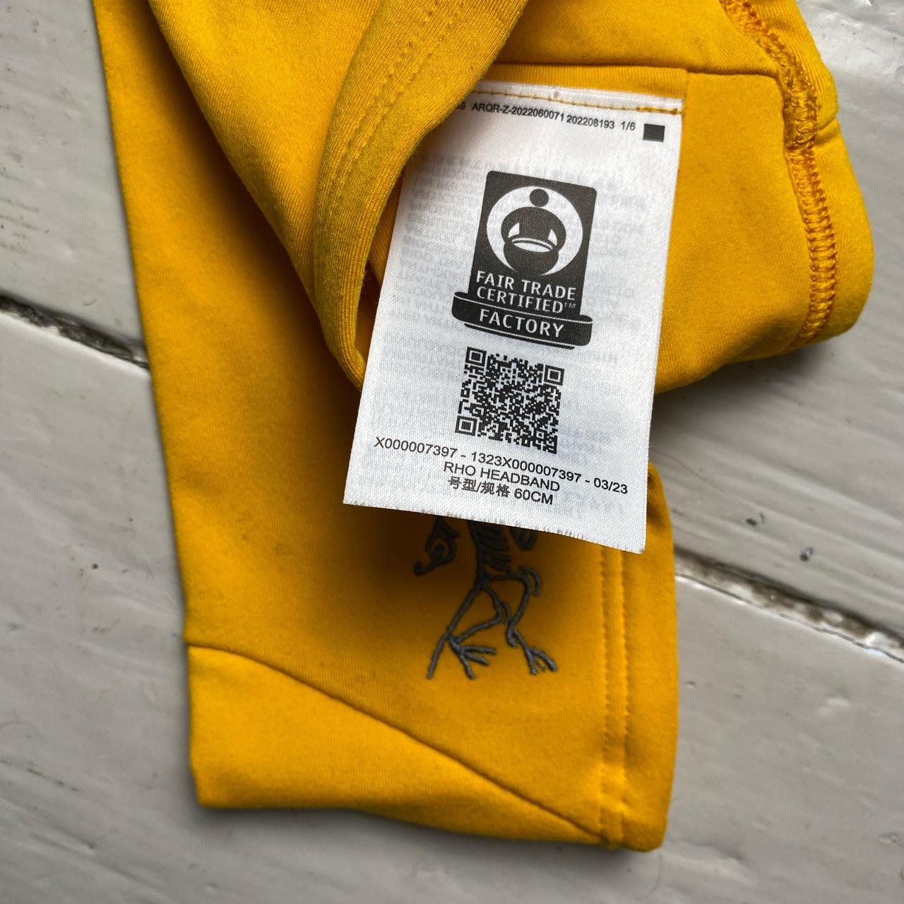 ArcTeryx Rho Headband Yellow and Grey