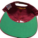 Washington Redskins NFL Vintage 90’s Green Brim Snapback Cap Burgundy and Yellow