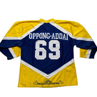 Haringey Greyhounds Vintage Hockey Jersey (XL)