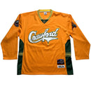 Professional Negro League Baseball Crawford Orange Yellow and Green Jersey (3XL)