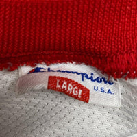 Chicago Bulls Champion Vintage Pippen 33 Basketball Jersey (L)