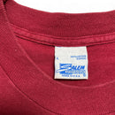 Salem Sportswear Washington Redskins Vintage 90’s burgundy NFL T-shirt (L)