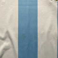 Argentina Adidas Climacool Vintage Football Jersey (L)