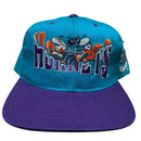 Charlotte Hornets Vintage 90’s Green Brim NBA Snapback Cap Blue and Purple