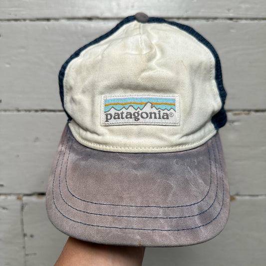 Patagonia Trucker Cap