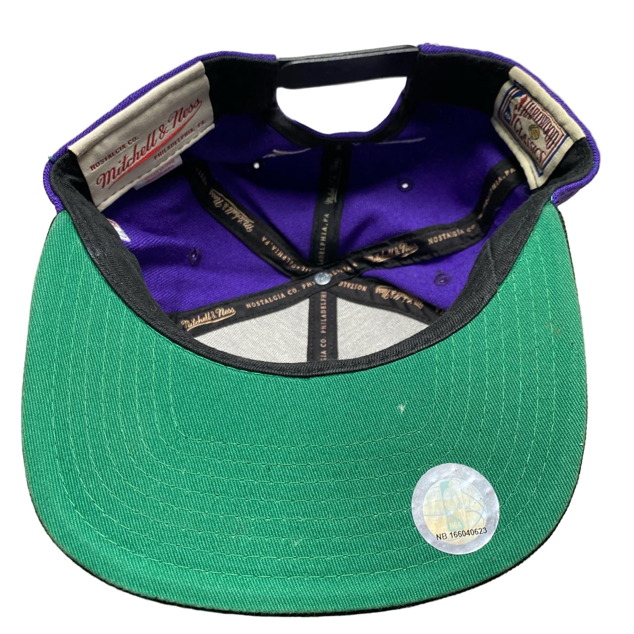 Toronto Raptors NBA Purple Snapback Cap
