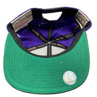 Toronto Raptors NBA Purple Snapback Cap