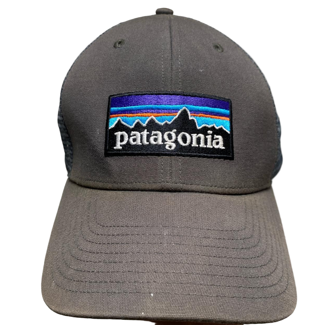 Patagonia Grey Trucker Cap