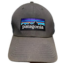 Patagonia Grey Trucker Cap