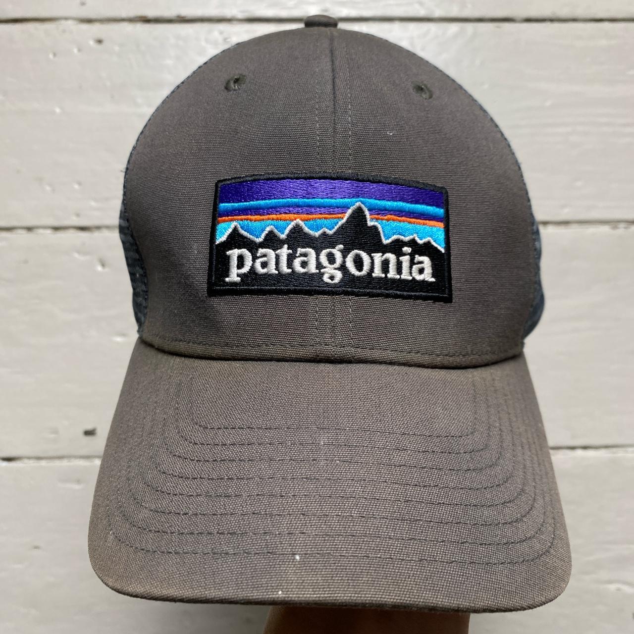 Patagonia Grey Trucker Cap