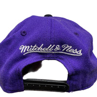 Toronto Raptors NBA Purple Snapback Cap