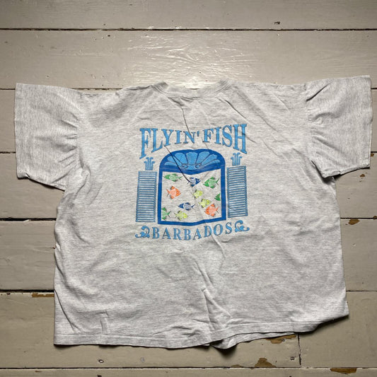 Flyin Fish Cropped Womens Grey Oversized T Shirt