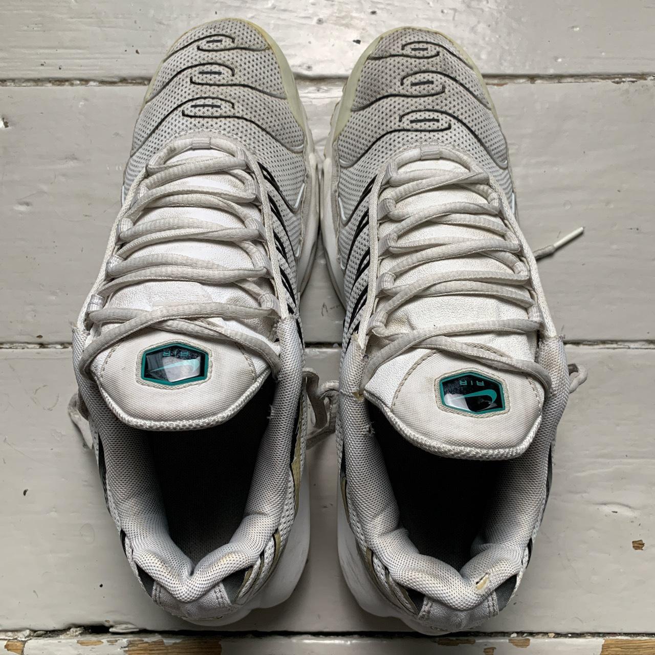 Nike TN Air Max Plus Dusty Cactus White and Blue