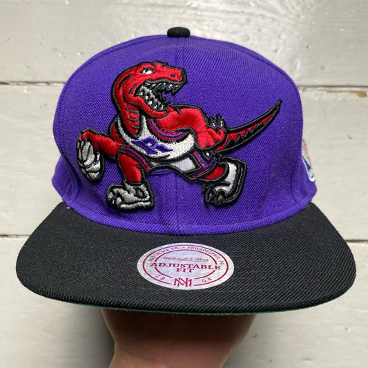 Toronto Raptors NBA Purple Snapback Cap