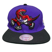Toronto Raptors NBA Purple Snapback Cap