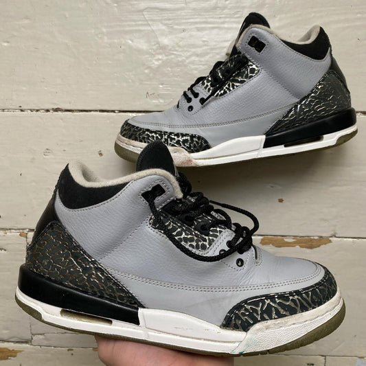 Jordan 3 Wolf Grey