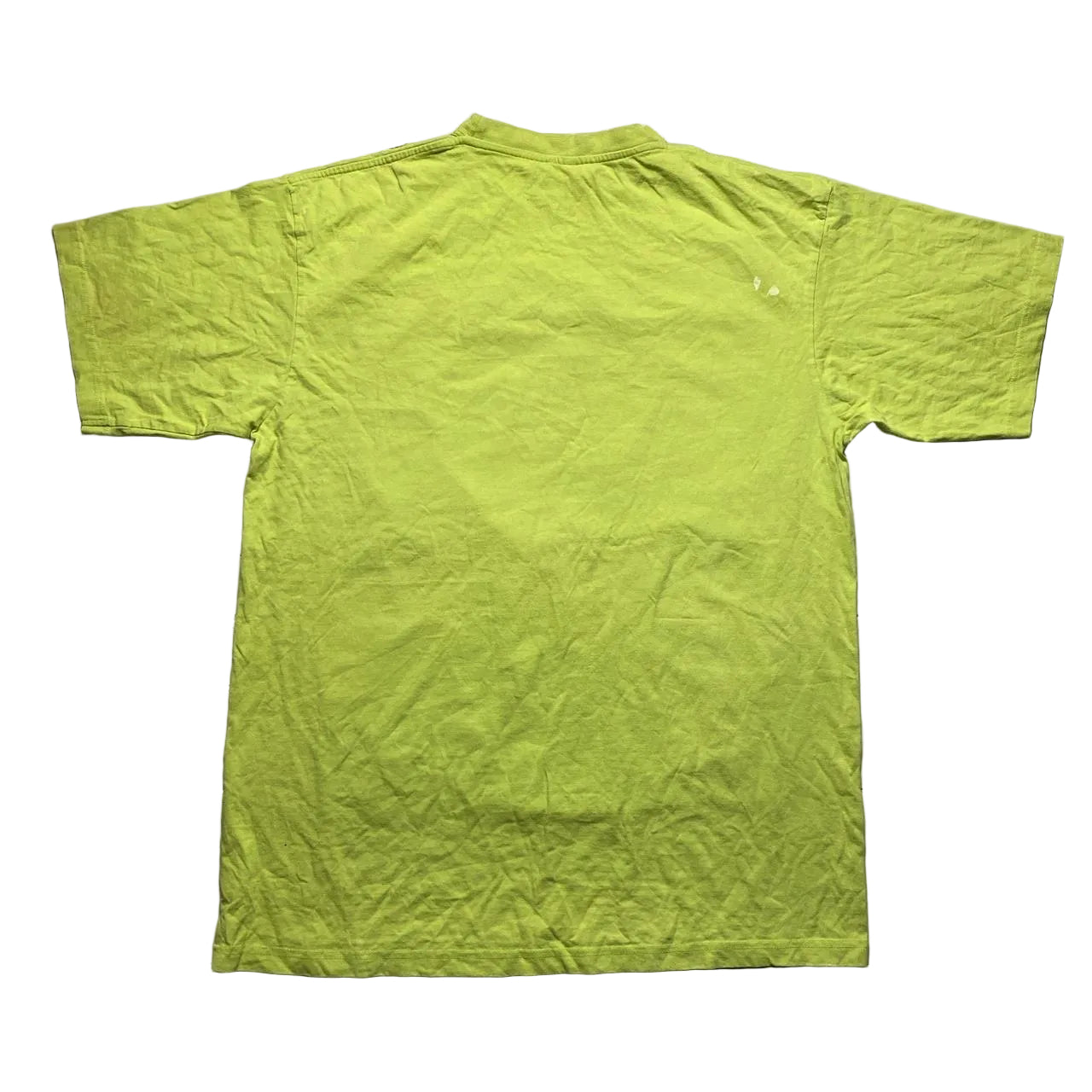 Pride Passion Power Vintage Hip Hop Money T Shirt Green (2XL)