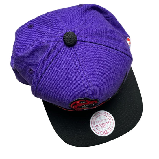 Toronto Raptors NBA Purple Snapback Cap