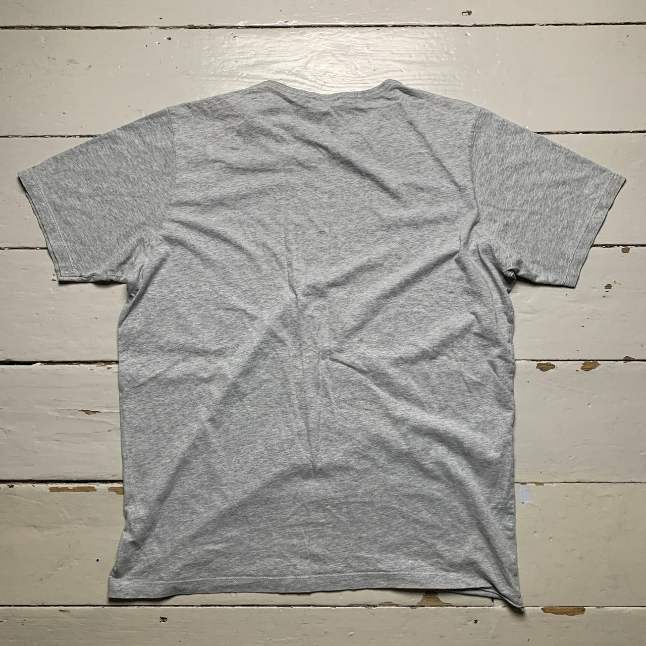 Diesel Tiger T Shirt Grey