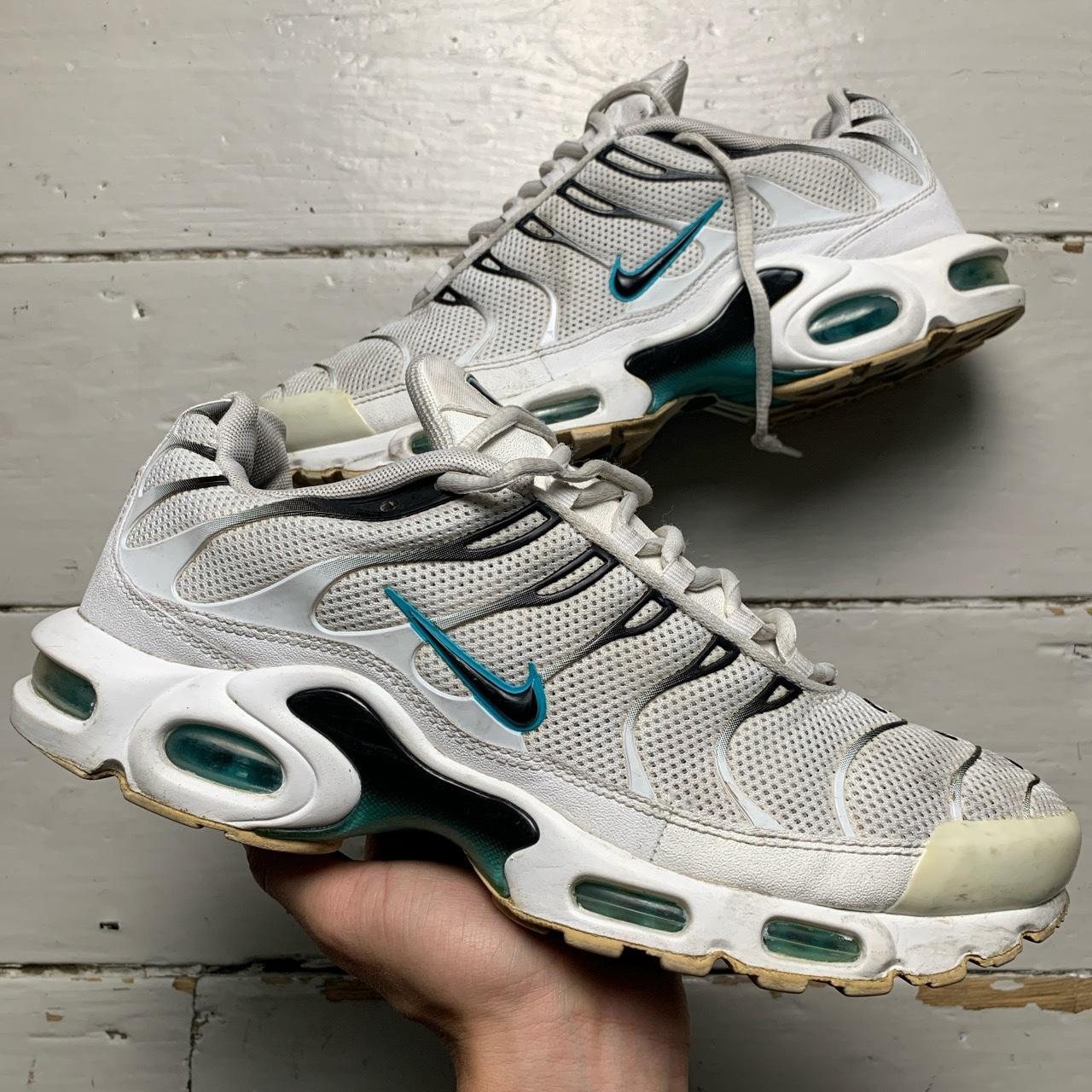 Nike TN Air Max Plus Dusty Cactus White and Blue