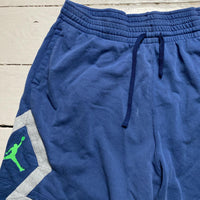 Jordan Blue and Green Shorts