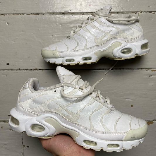 Nike TN Air Max Plus Leather White