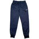 Emporio Armani EA7 Navy and White Trackpant Bottoms (L)