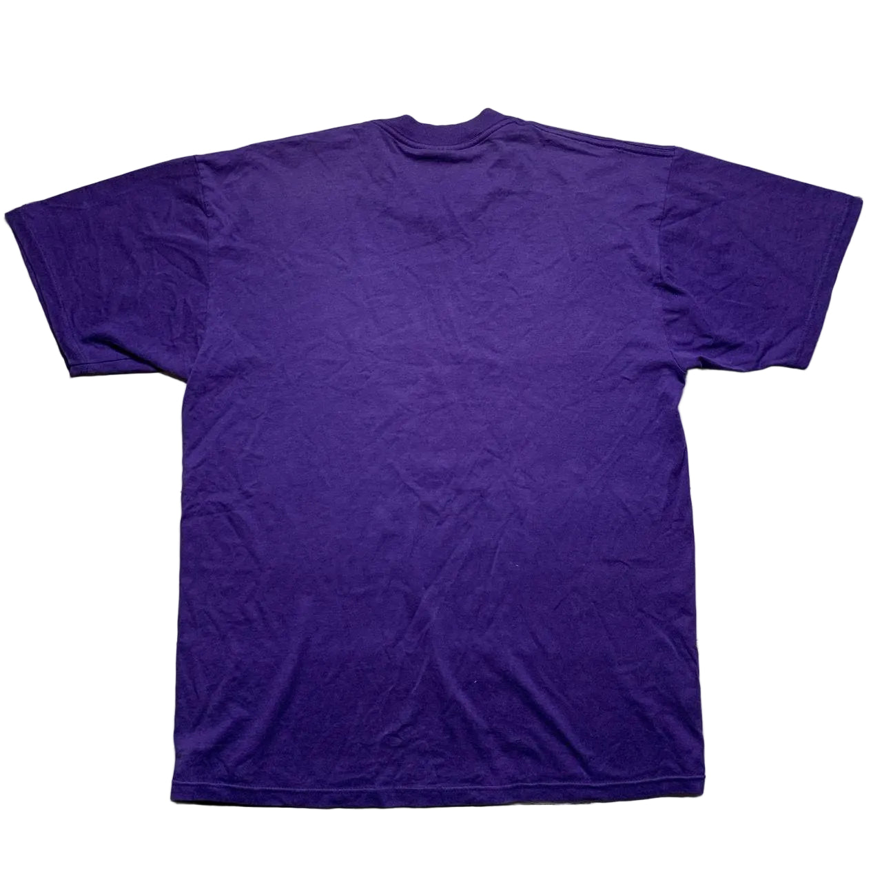 Prison To God Be The Glory Vintage 90’s Purple T Shirt (L)