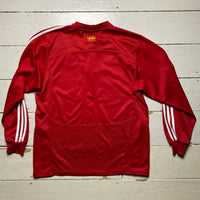 British Lions South Africa Rugby Jersey (Large)