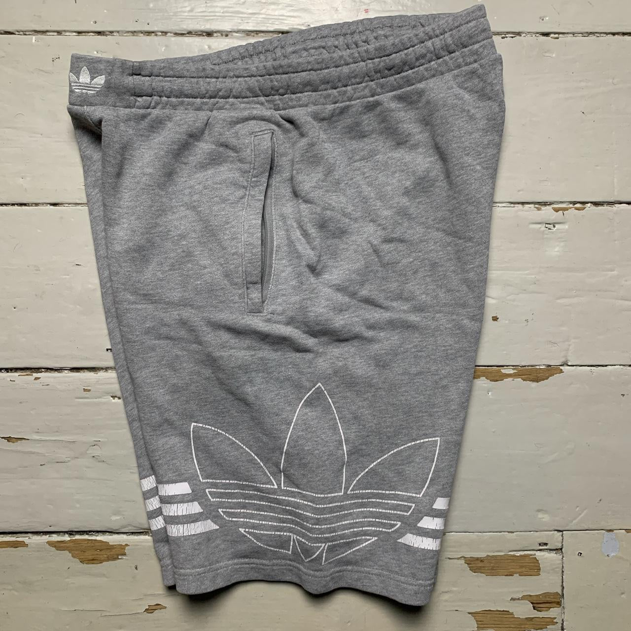 Adidas Grey Shorts (Medium)