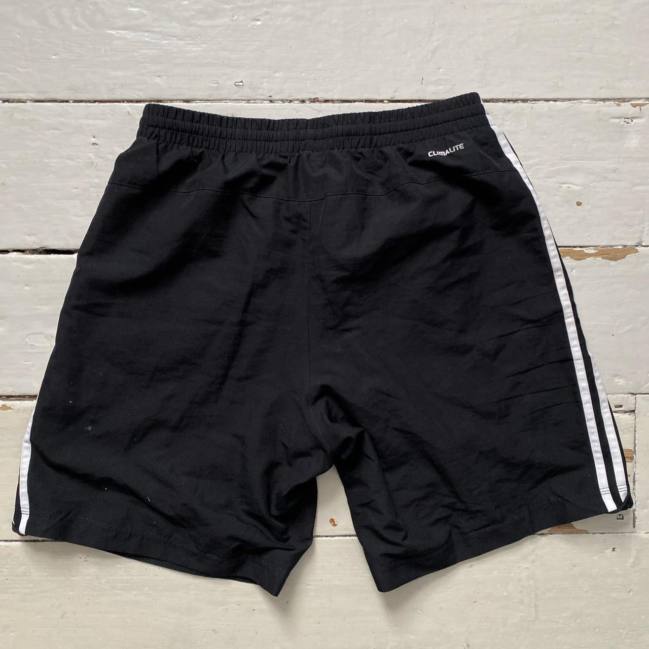 Adidas Striped Shorts (Medium)